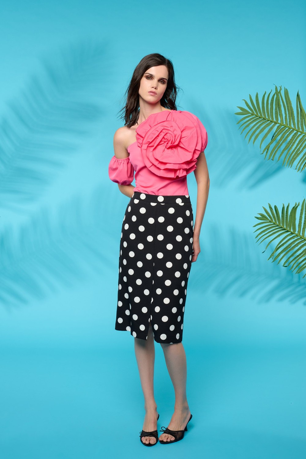 RASPBERRY TOP