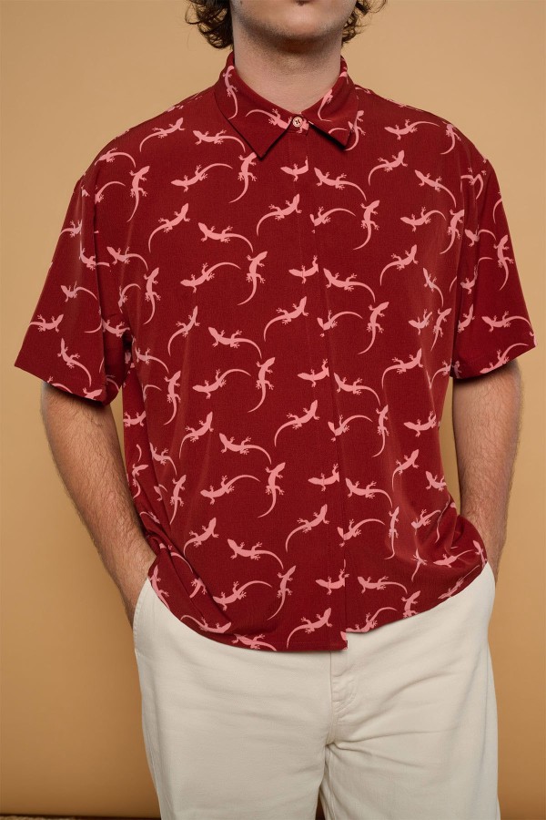 GECKO TOP