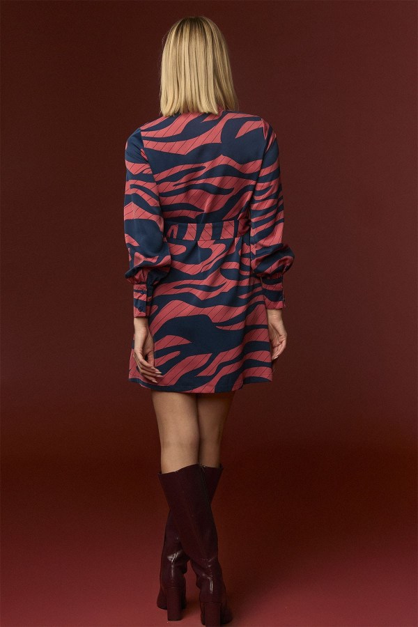ZEBRA DRESS
