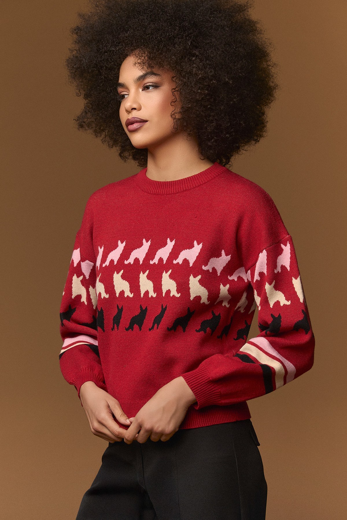 RED CORGI SWEATER