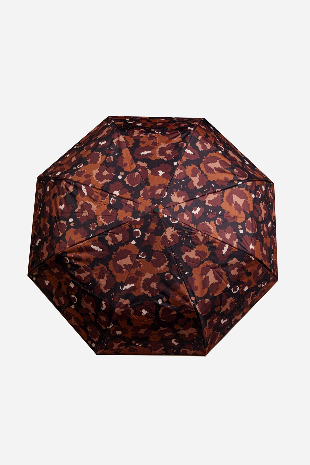 HARRY UMBRELLA