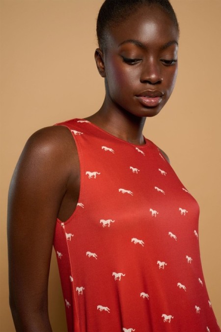 CAVALL DRESS